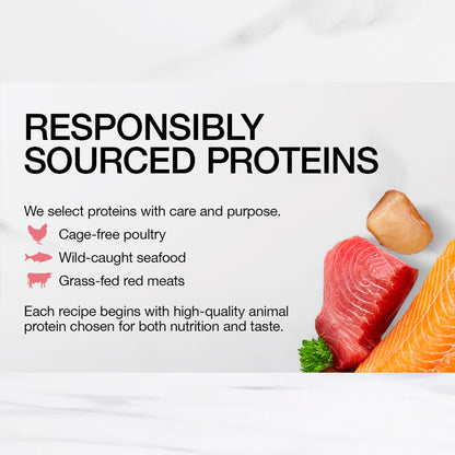Real Simplicity Single Protein Pate, Salmon & Tuna Bundle