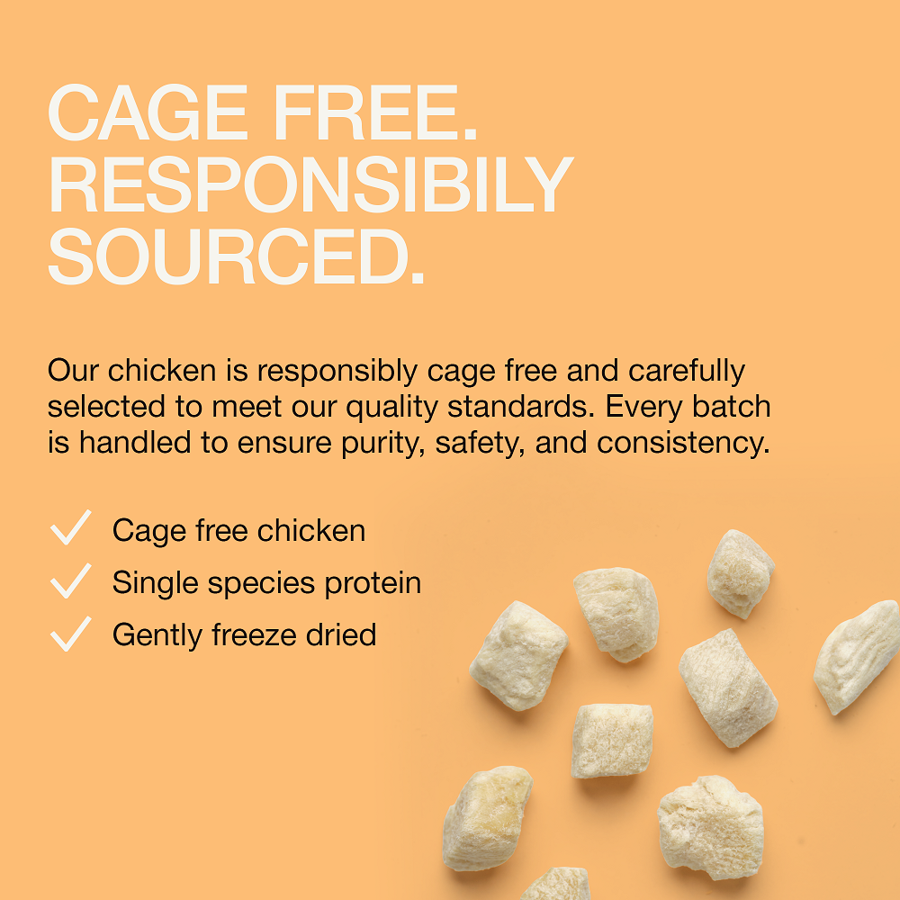 Real Simplicity Freeze Dried Single Protein Bites Farm Raised Chicken Adult Cat Treat