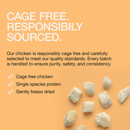 Real Simplicity Freeze Dried Single Protein Bites Farm Raised Chicken Adult Cat Treat