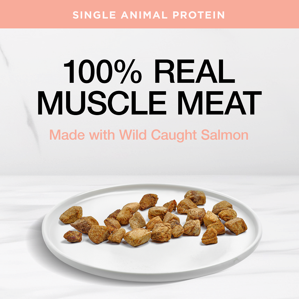 Real Simplicity Freeze Dried Single Protein Bites Wild Caught Salmon Adult Cat Treat