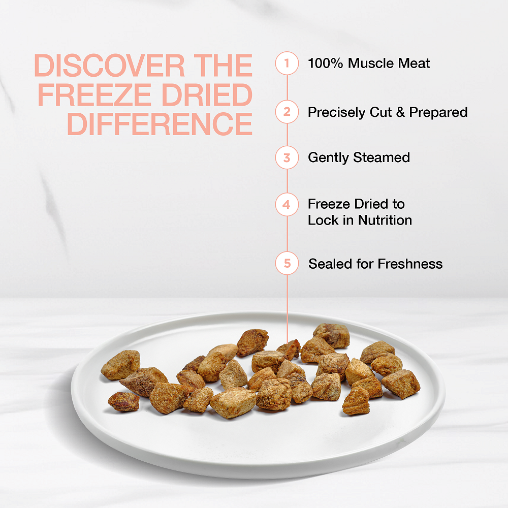Real Simplicity Freeze Dried Single Protein Bites Wild Caught Salmon Adult Cat Treat