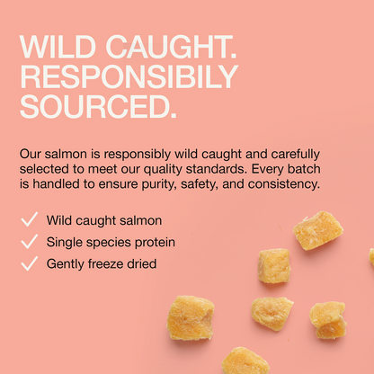 Real Simplicity Freeze Dried Single Protein Bites Wild Caught Salmon Adult Cat Treat