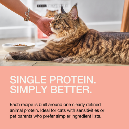 Real Simplicity Freeze Dried Single Protein Bites Wild Caught Salmon Adult Cat Treat