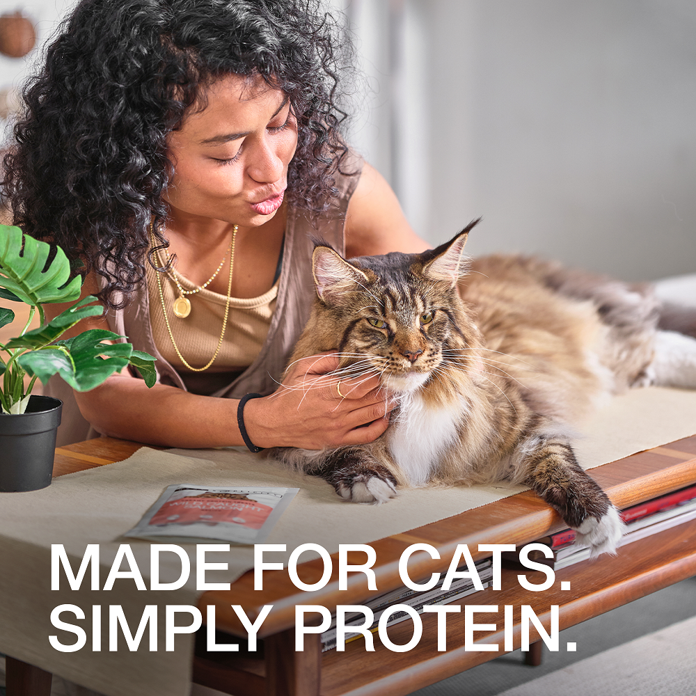 Real Simplicity Freeze Dried Single Protein Bites Wild Caught Tuna Adult Cat Treat