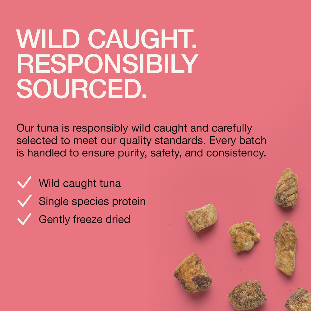 Real Simplicity Freeze Dried Single Protein Bites Wild Caught Tuna Adult Cat Treat