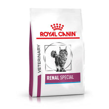 Royal Canin Veterinary Health Nutrition Feline Renal Special Adult Dry Cat Food