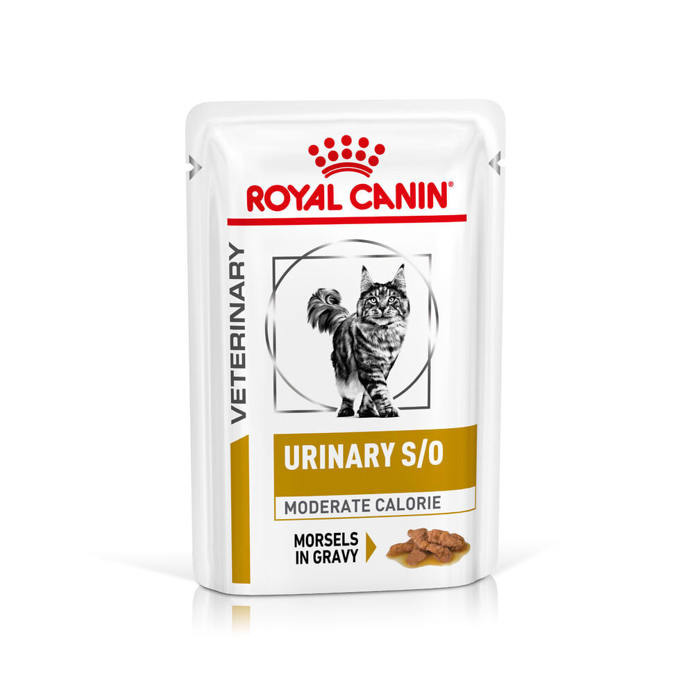 Royal Canin Urinary S/O Morsels in Gravy Adult Wet Cat Food