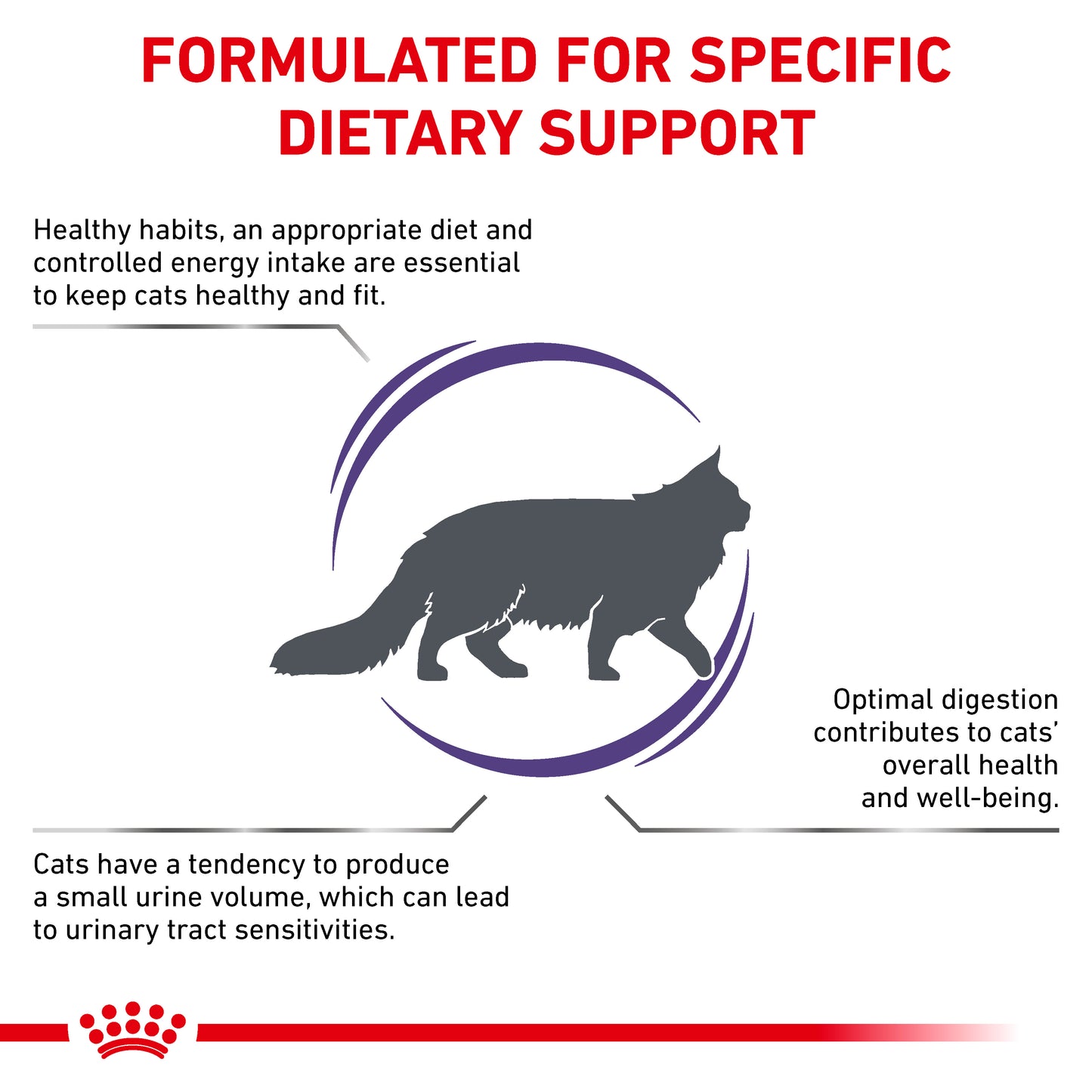 Royal Canin Adult Dry Cat Food