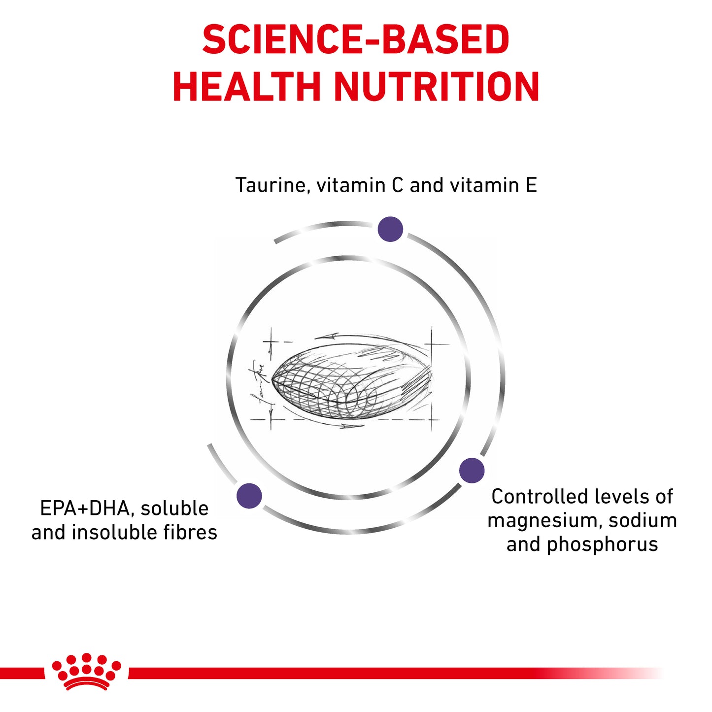 Royal Canin Adult Dry Cat Food