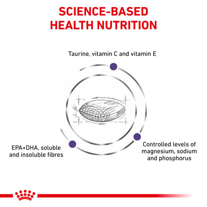 Royal Canin Adult Dry Cat Food