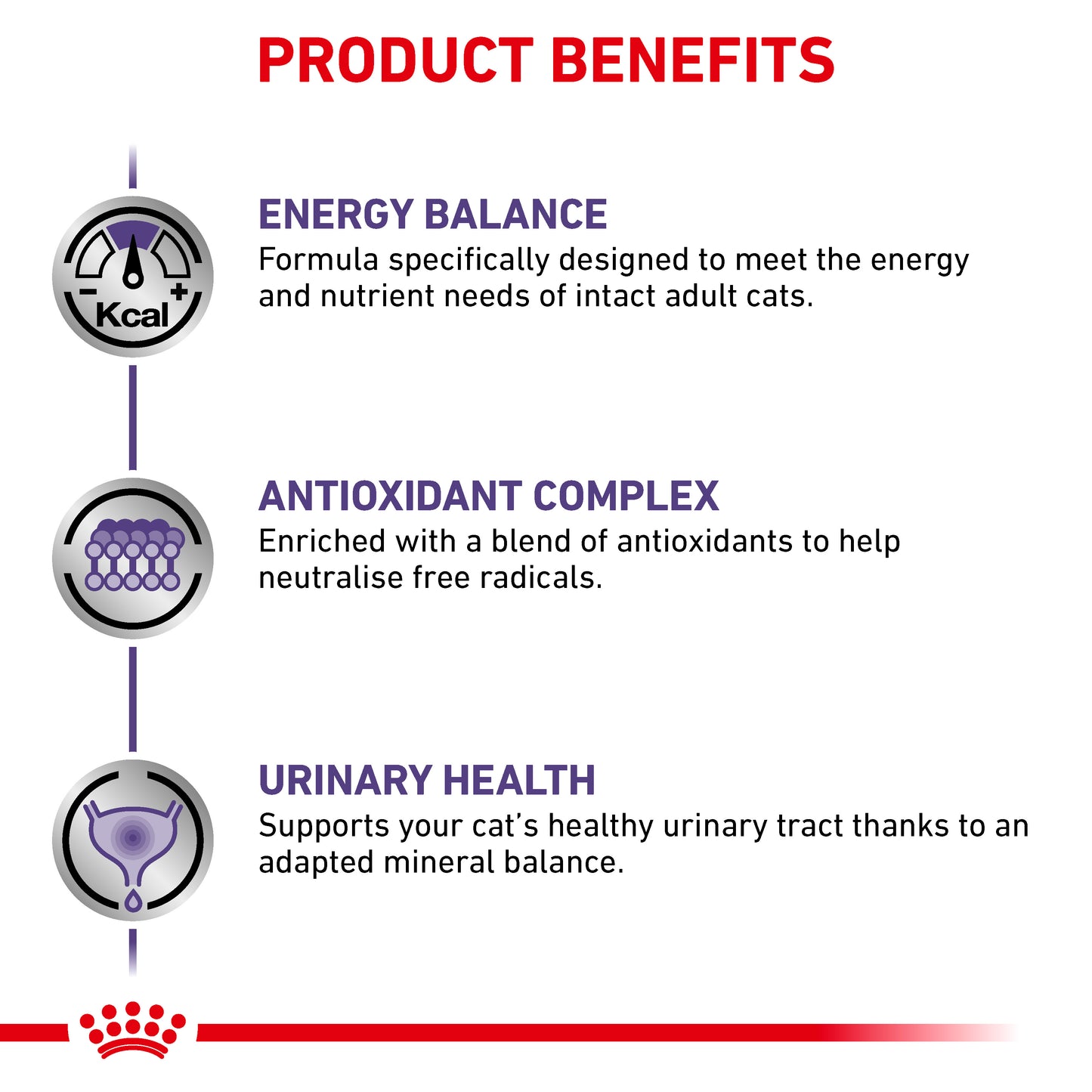 Royal Canin Adult Dry Cat Food