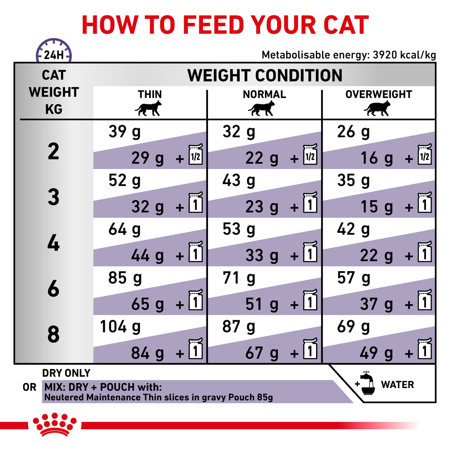 Royal Canin Adult Dry Cat Food