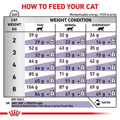 Royal Canin Adult Dry Cat Food