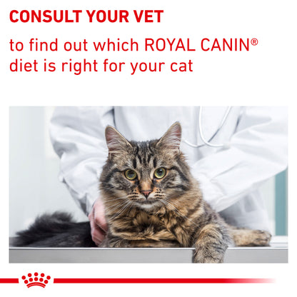Royal Canin Adult Dry Cat Food