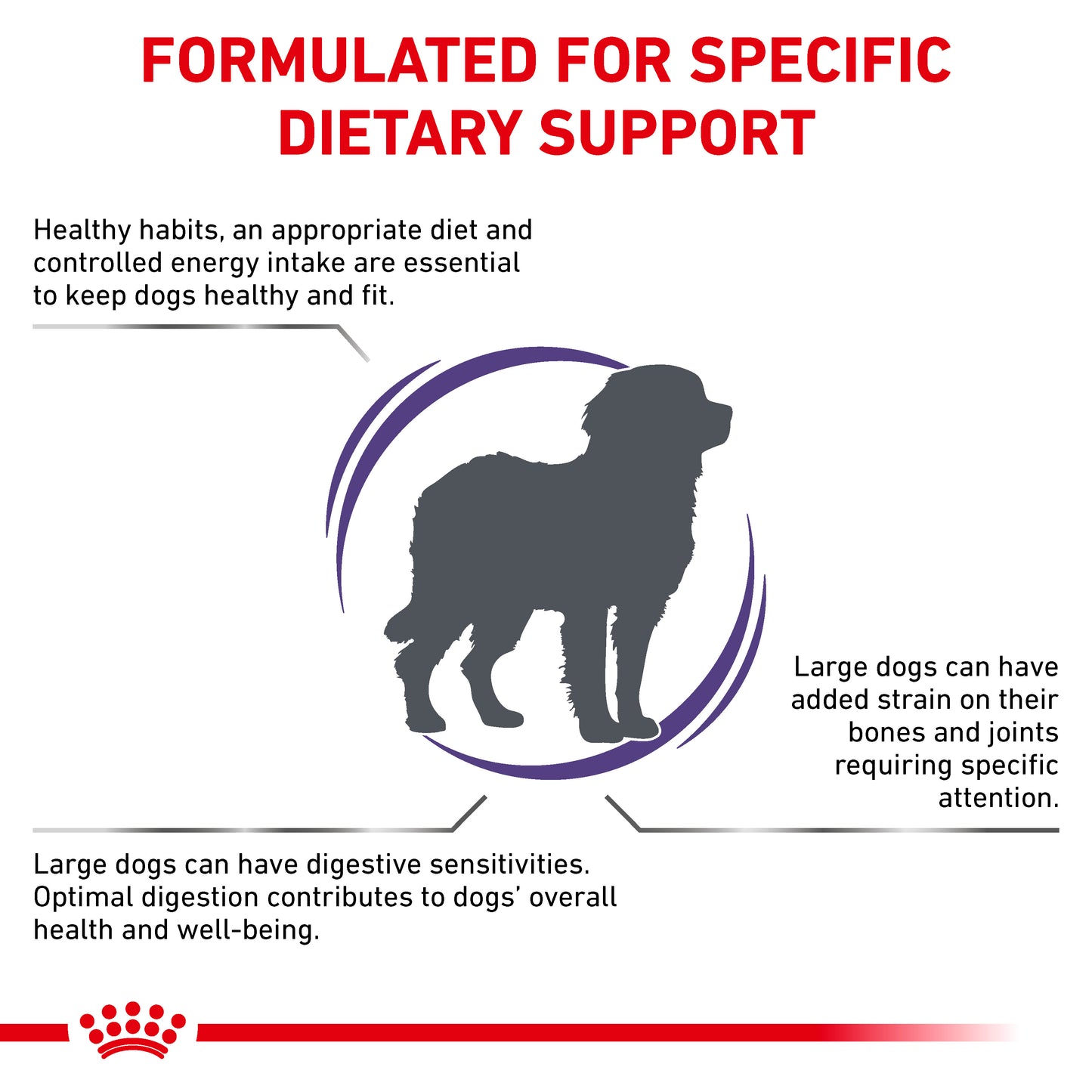 Royal Canin Adult Large Dog Adult Dry Dog Food