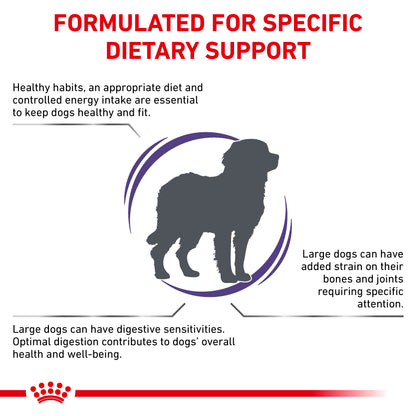 Royal Canin Adult Large Dog Adult Dry Dog Food