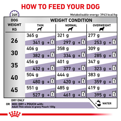 Royal Canin Adult Large Dog Adult Dry Dog Food