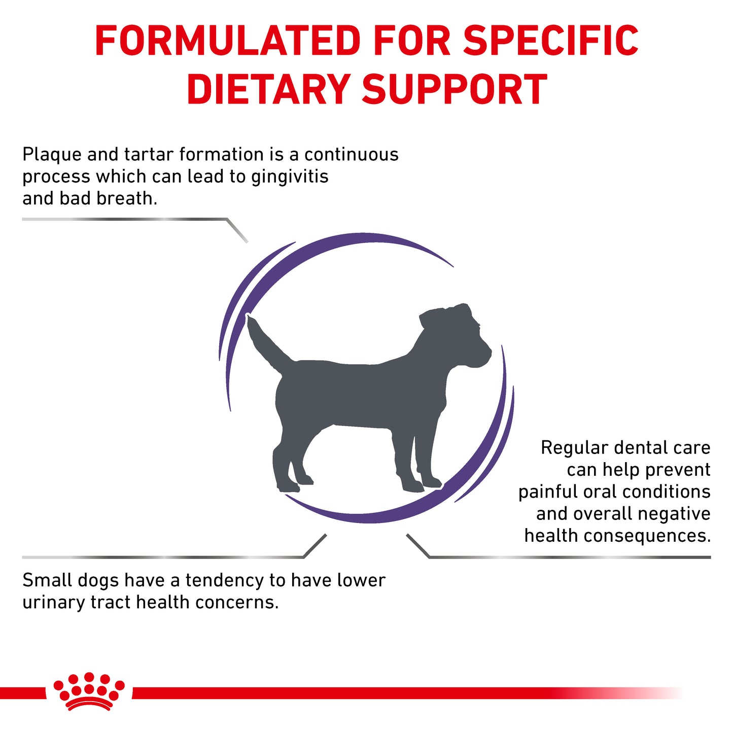Royal Canin Dental Small Dog Adult Dry Dog Food