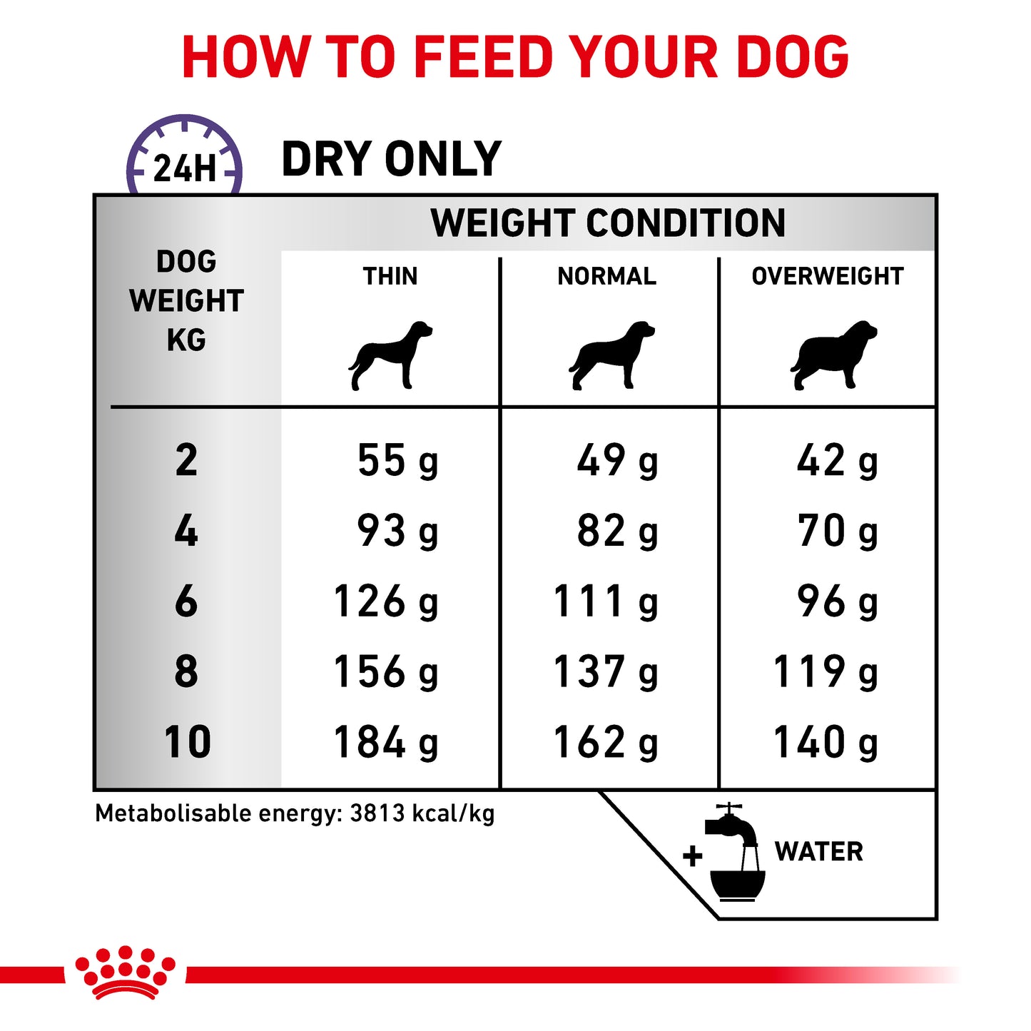 Royal Canin Dental Small Dog Adult Dry Dog Food