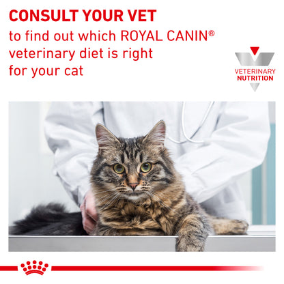 Royal Canin Diabetic Thin Slices in Gravy Adult Wet Cat Food 12 x 85g