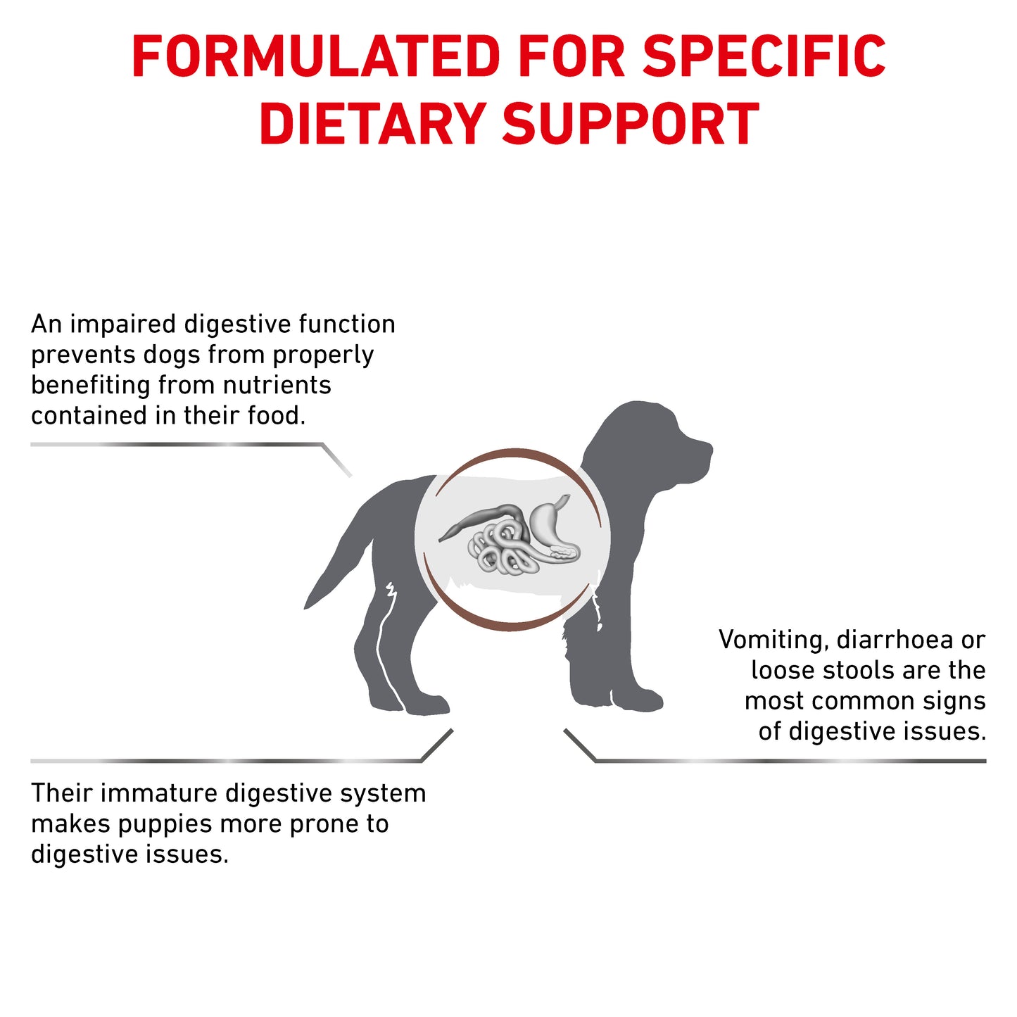 Royal Canin Gastrointestinal Puppy Dry Dog Food