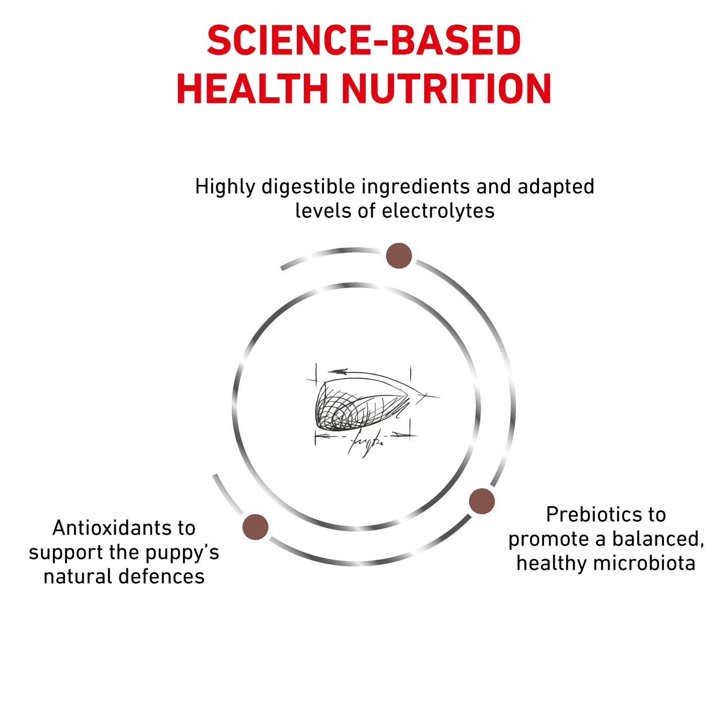 Royal Canin Gastrointestinal Puppy Dry Dog Food