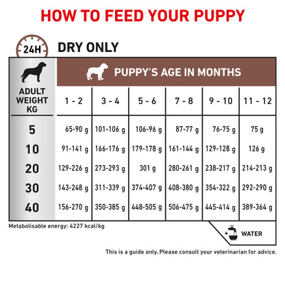 Royal Canin Gastrointestinal Puppy Dry Dog Food