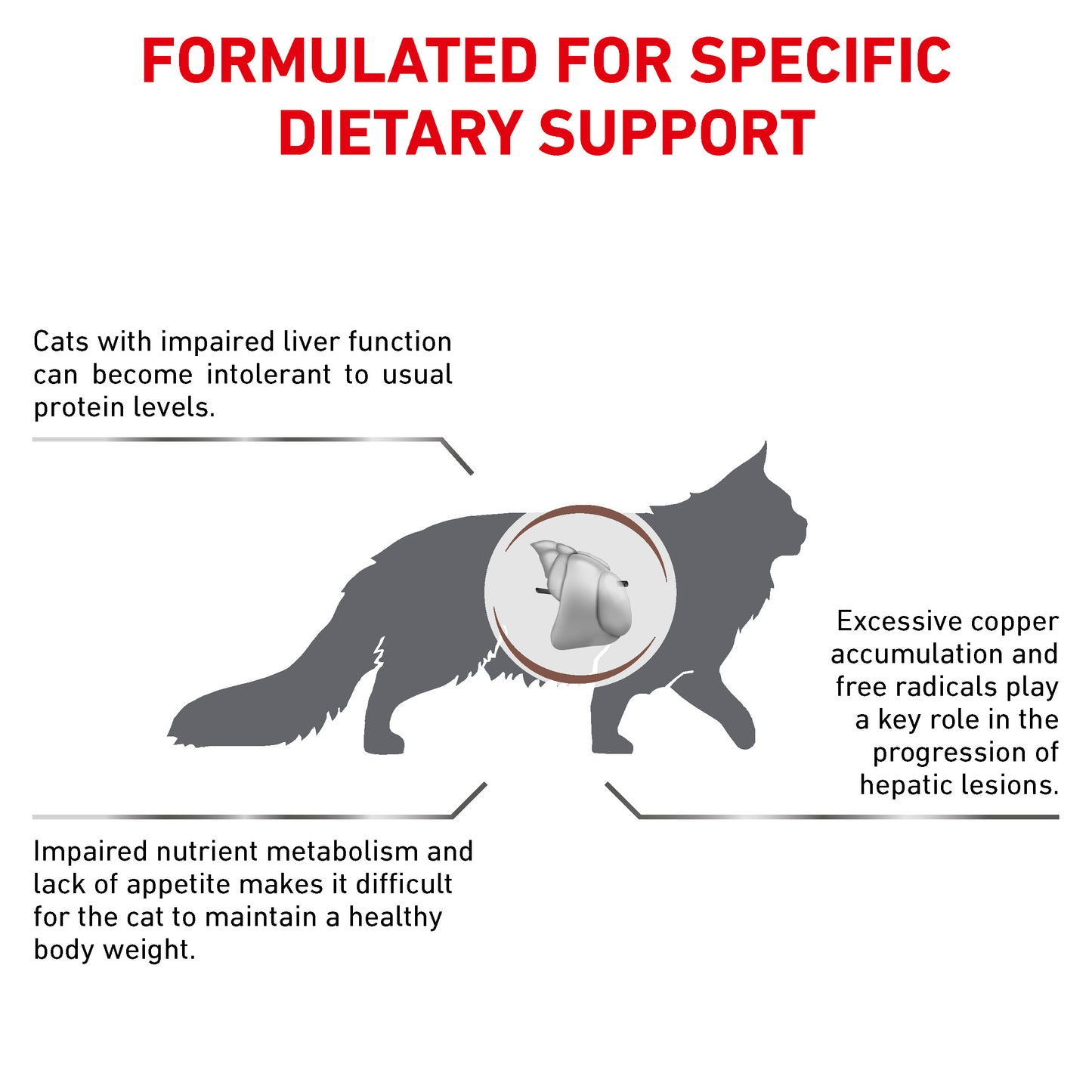 Royal Canin Hepatic Adult Dry Cat Food