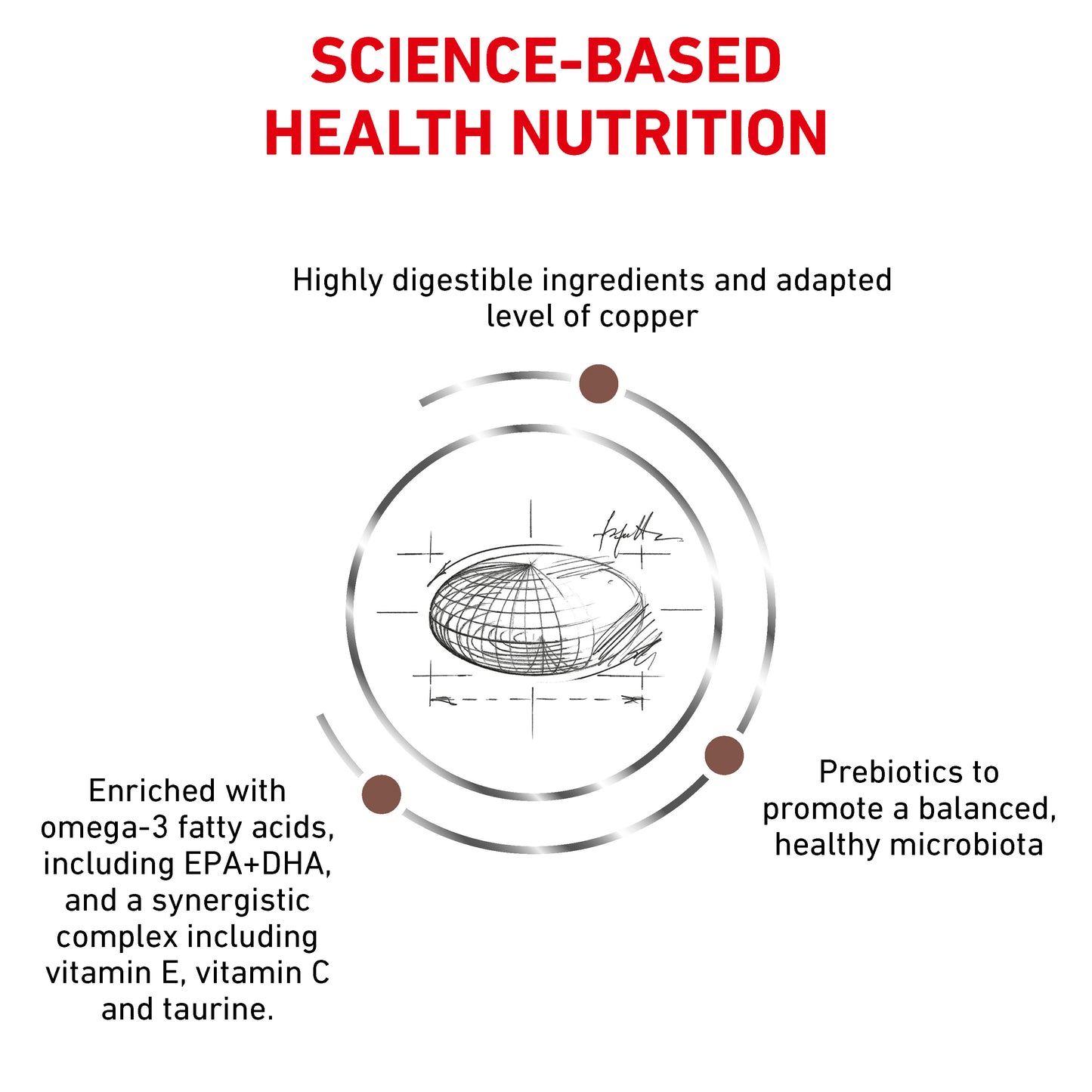 Royal Canin Hepatic Adult Dry Cat Food