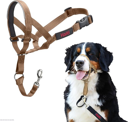 Halti Train Headcollar Desert Sand