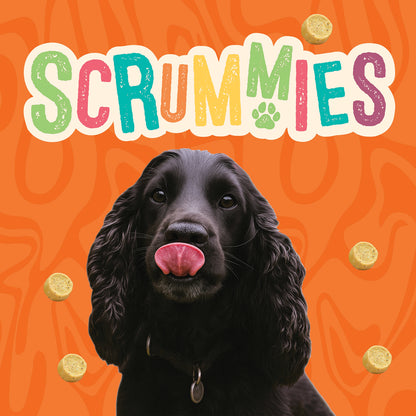 Scrummies Cheesy Cheese Dog Treat Value Pack | 400g (4-Packs)