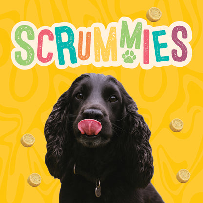 Scrummies Chickeny Chicken Dog Treat Value Pack | 400g (4-Packs)