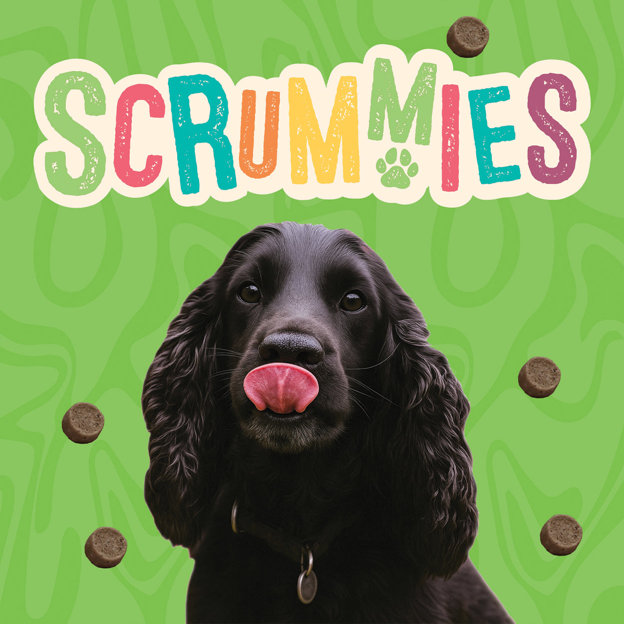 Scrummies Luscious Lamb Dog Treat Twin Pack | 200g