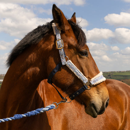 Cath Kidston Equestrian Strawberry Garden Headcollar & Leadrope Set