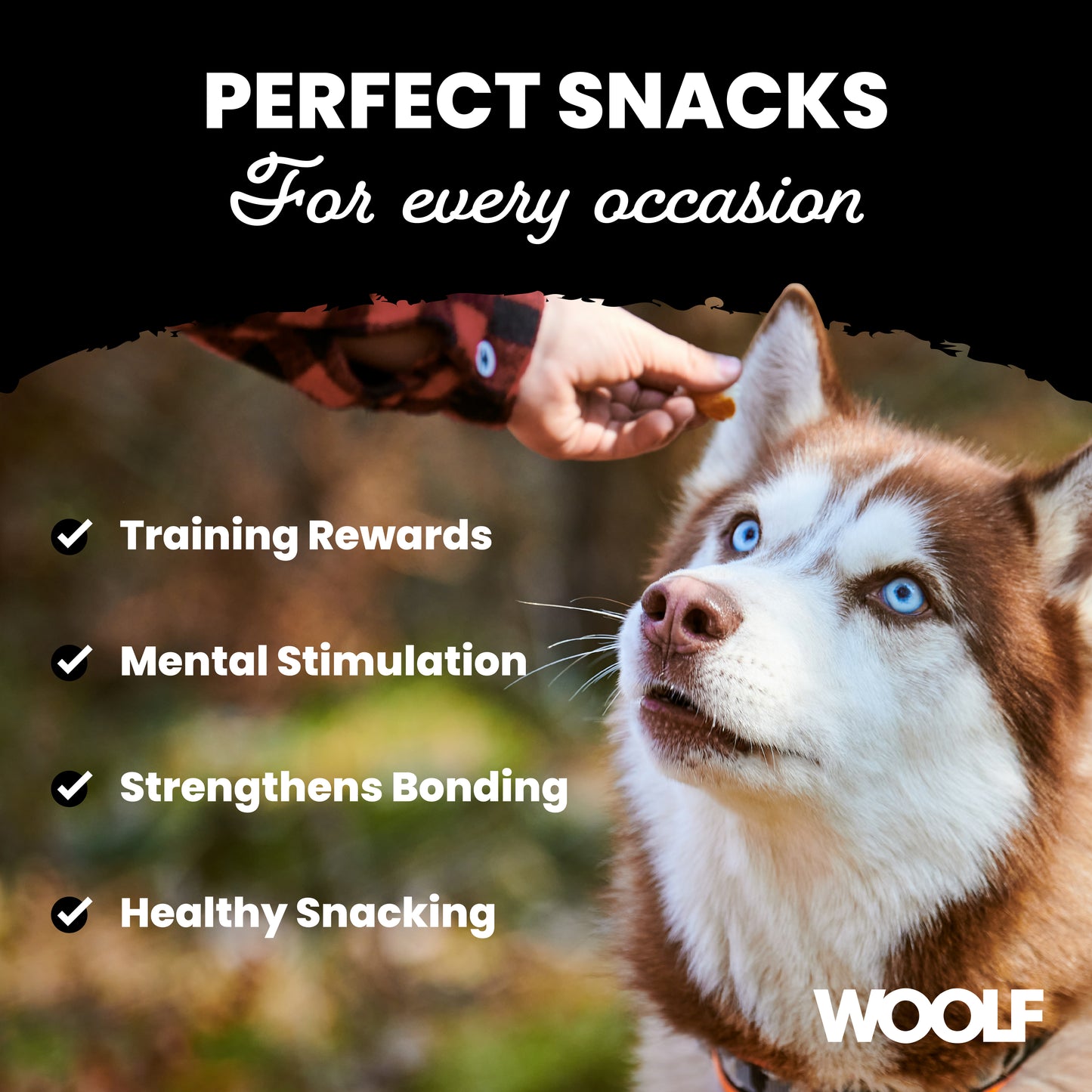 Woolf Lamb Chunkies Dog Treats