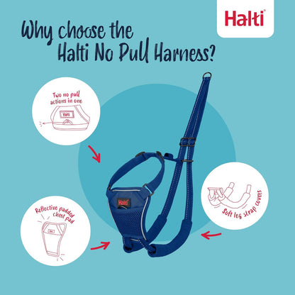 Halti Train No Pull Harness Purple