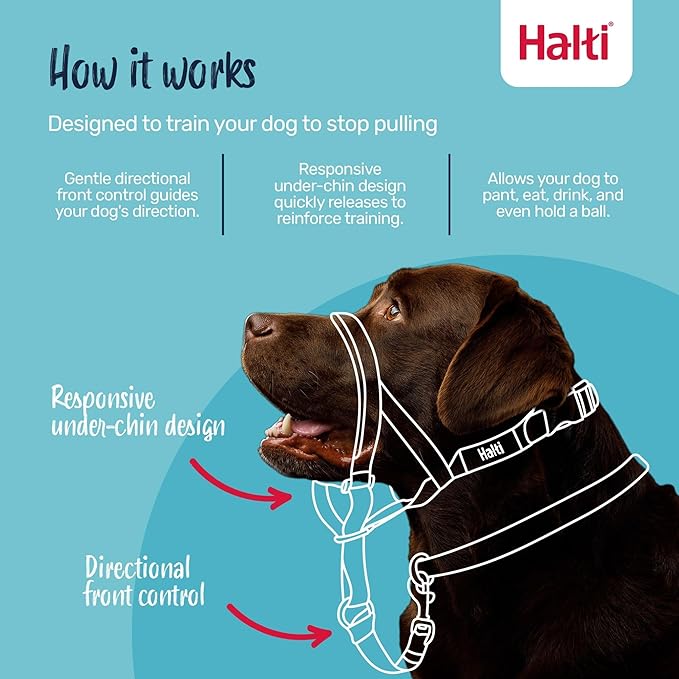 Halti Train Headcollar Purple