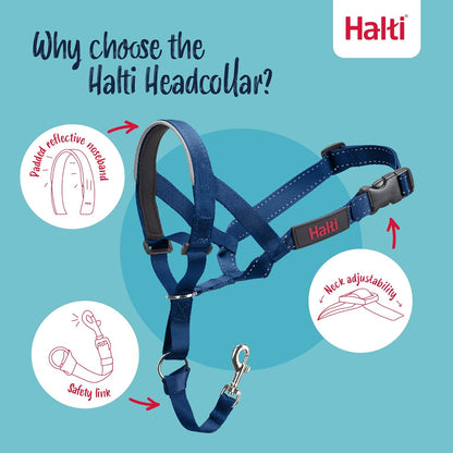 Halti Train Headcollar Desert Sand