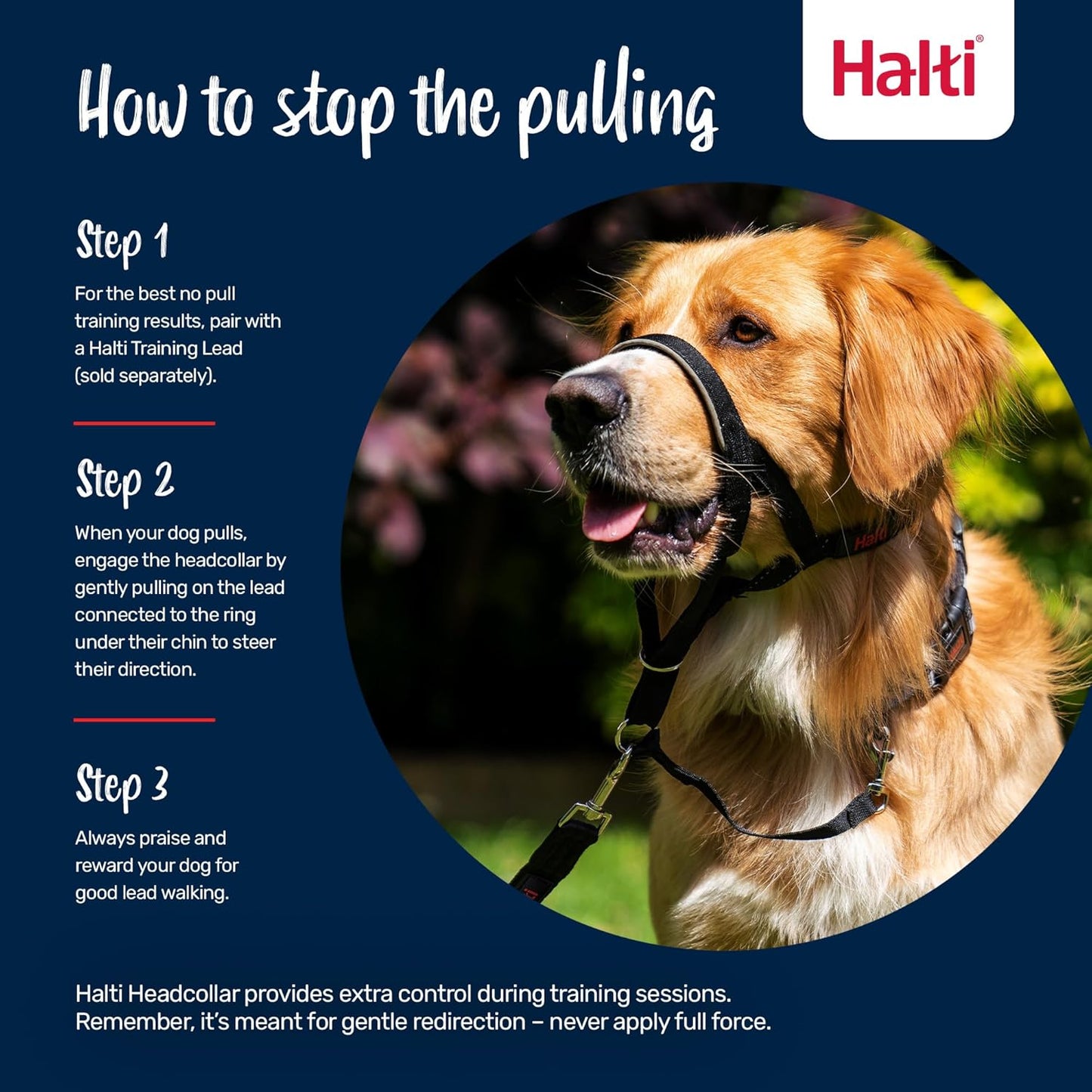 Halti Train Headcollar Desert Sand