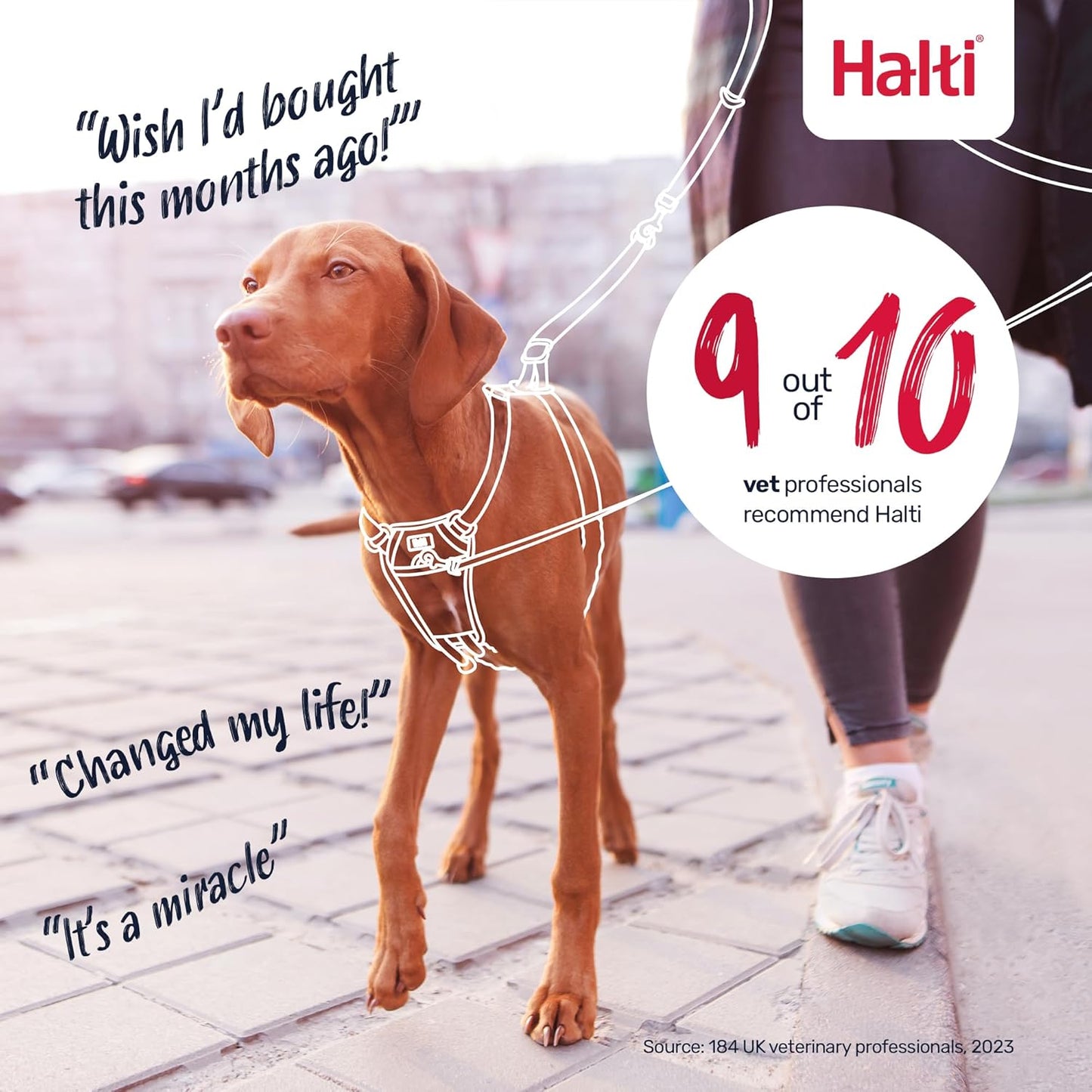 Halti Train No Pull Harness Burnt Orange
