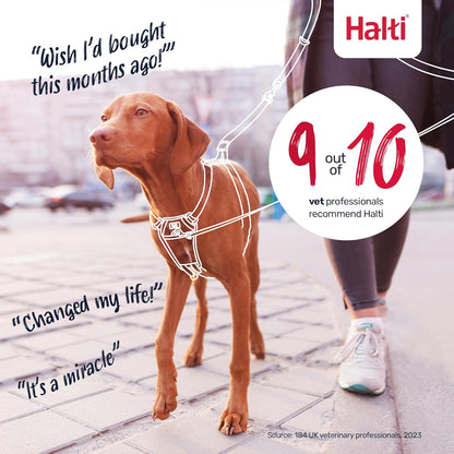 Halti Train No Pull Harness Cobalt Blue