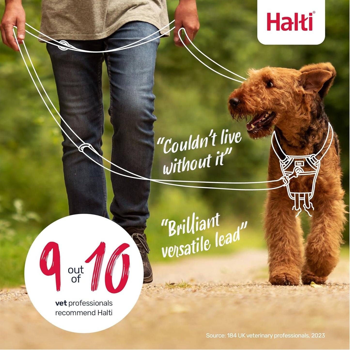 Halti Train Training Lead Desert Sand