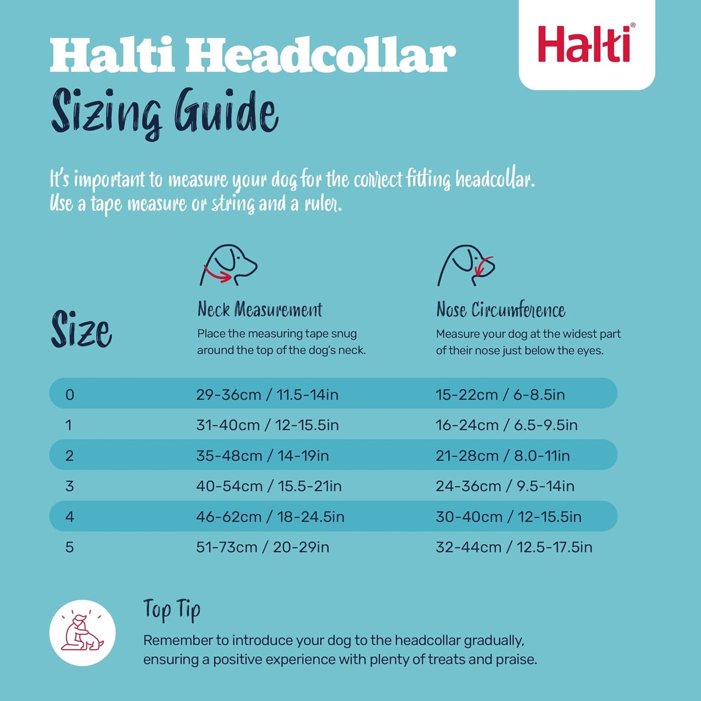 Halti Train Headcollar Cobalt Blue