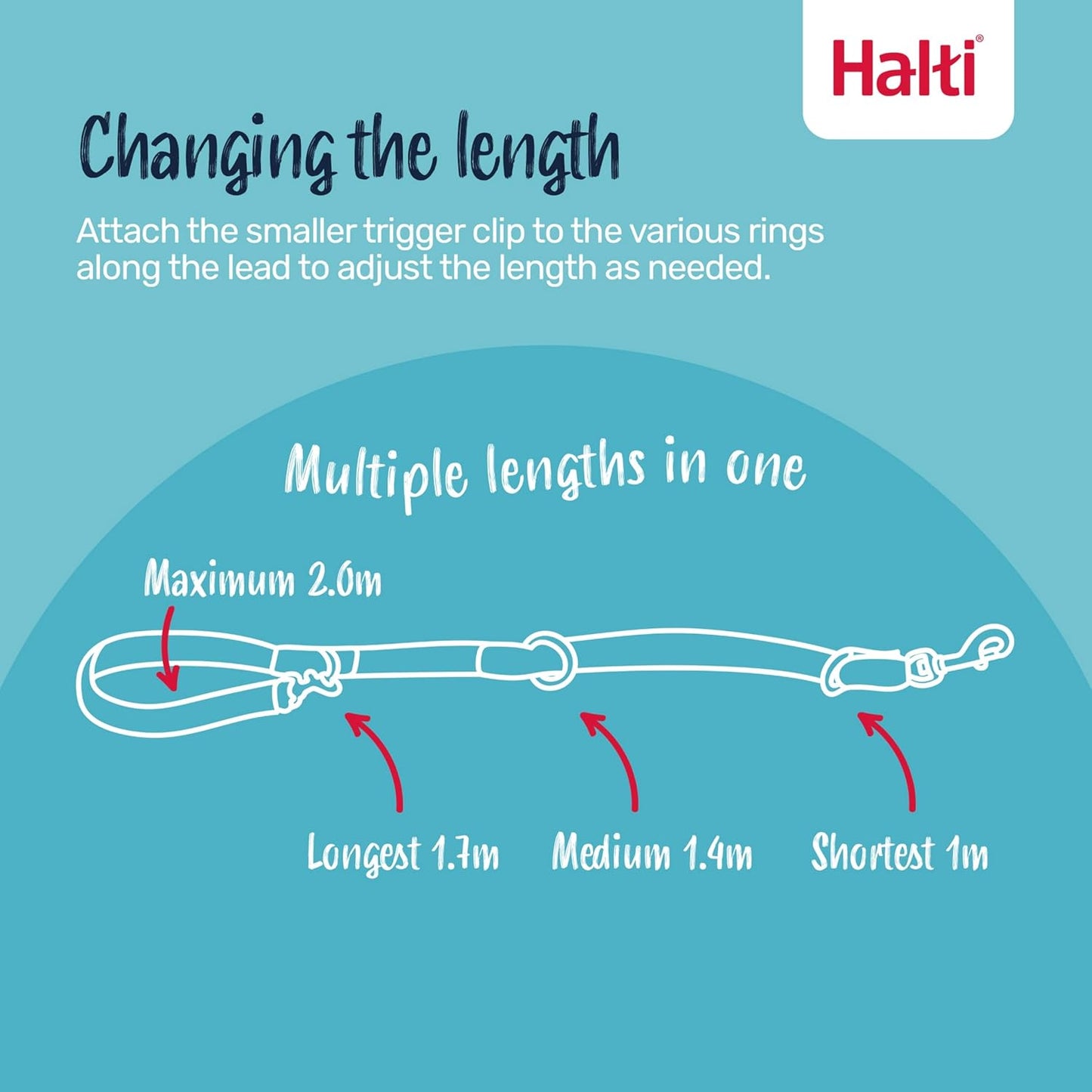 Halti Train Training Lead Deep Walnut