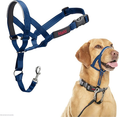 Halti Train Headcollar Cobalt Blue
