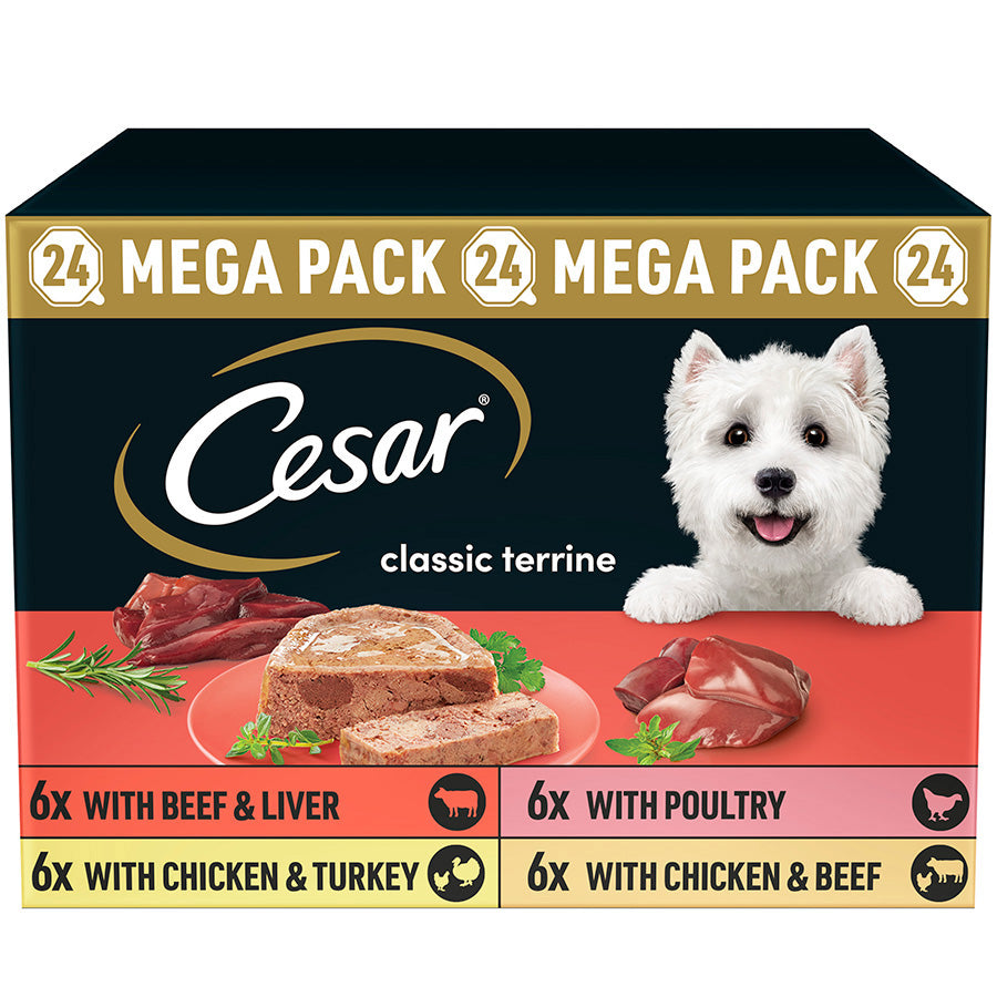 Cesar Cesar Terrine Beef Chicken Turkey Adult Wet Dog Food pet food packaging