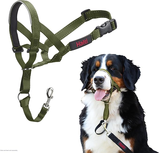 Halti Train Headcollar Forest Green