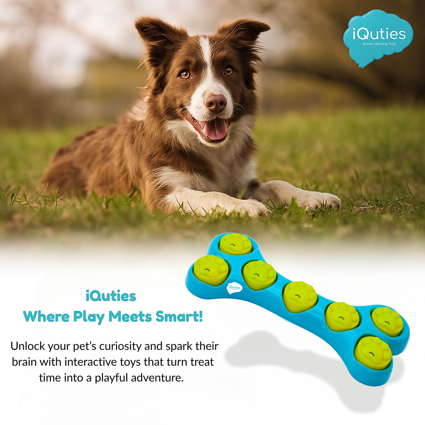 iQuties Bone Hide Interactive Puzzle Treat Dispenser Dog Toy