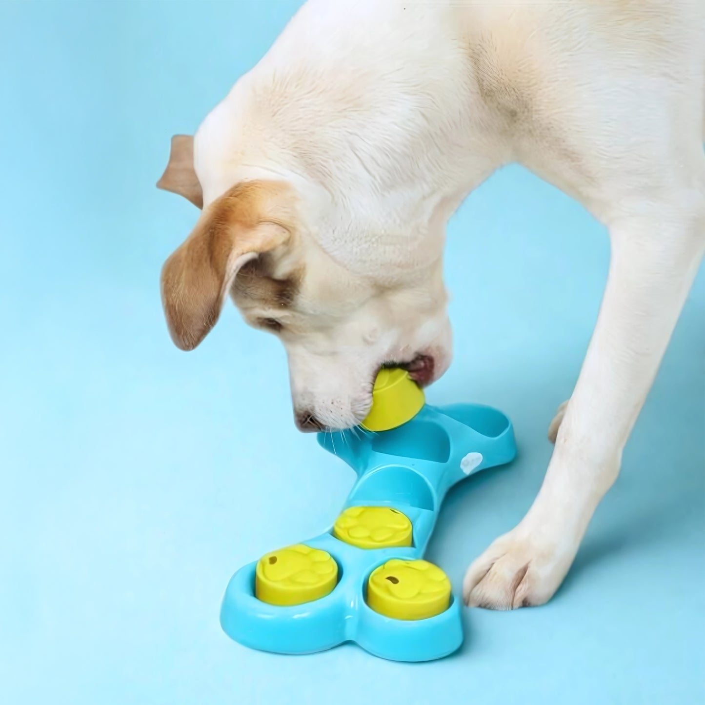 iQuties Bone Hide Interactive Puzzle Treat Dispenser Dog Toy