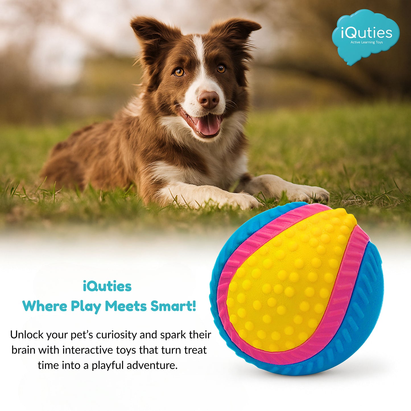 iQuties Sensory Interactive Dog Toy